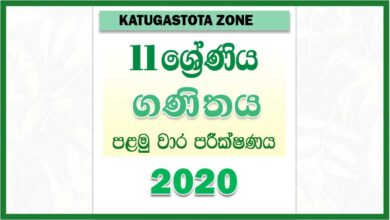 Photo of 2020 Grade 11 Mathematics First Term Test Paper | Katugastota Zone