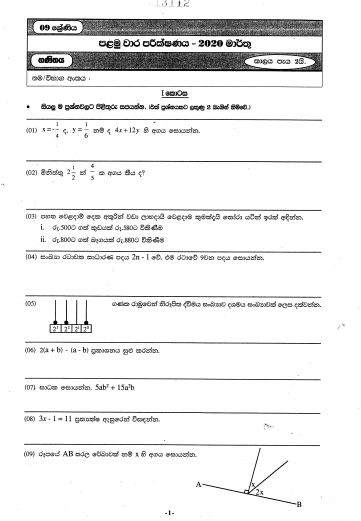 2020 Grade 09 Mathematics First Term Test Paper with Answer | North ...
