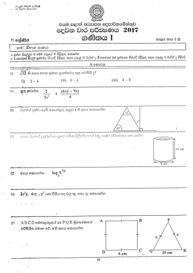 2017 Grade 11 Mathematics Second Term Test Paper with Answers | North ...
