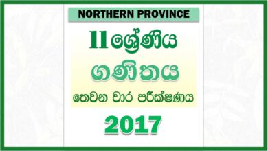 Photo of 2017 Grade 11 Mathematics Third Term Test Paper | Northern Province