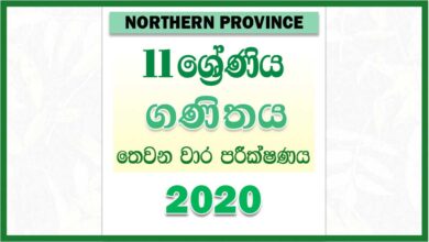 Photo of 2020 Grade 11 Mathematics Third Term Test Paper | Northern Province