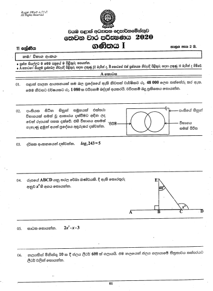 2020 Grade 11 Mathematics Third Term Test Paper with Answers | North ...