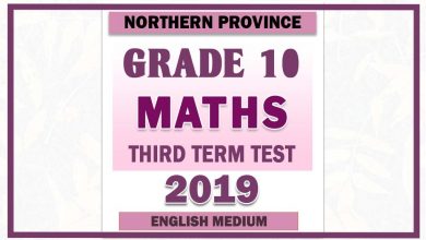Photo of 2019 Grade 10 Maths Third Term Paper  | English Medium – Northern Province