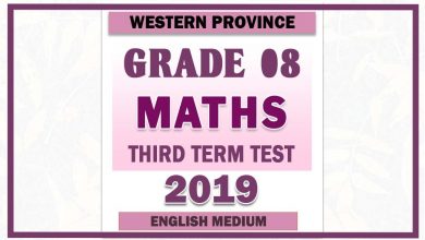 Photo of 2019 Grade 08 Maths Third Term Paper | English Medium – Western Province
