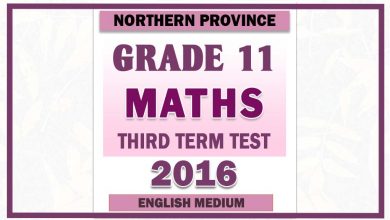 Photo of 2016 Grade 11 Maths Third Term Paper | English Medium – Northern Province