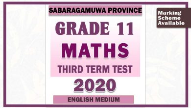 Photo of 2020 Grade 11 Maths Third Term Paper With Answers | English Medium – Sabaragamuwa Province
