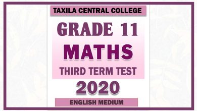Photo of 2020 Grade 11 Maths Third Term Paper | English Medium – Taxila Central College