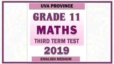 Photo of 2019 Grade 11 Maths Third Term Paper | English Medium – Uva Province