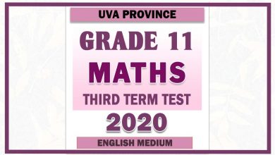 Photo of 2020 Grade 11 Maths Third Term Paper | English Medium – Uva Province