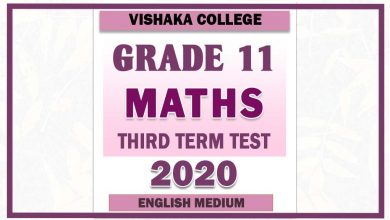 Photo of 2020 Grade 11 Maths Third Term Paper | English Medium – Vishaka College