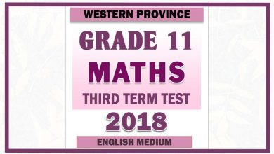 Photo of 2018 Grade 11 Maths Third Term Paper | English Medium – Western Province