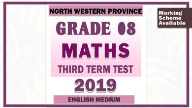 Photo of 2019 Grade 08 Maths Third Term Paper With Answers | English Medium – North Western Province