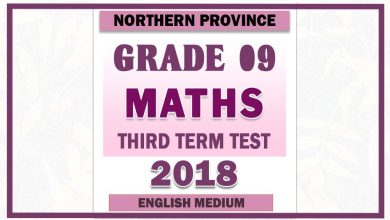 Photo of 2018 Grade 09 Maths Third Term Paper | English Medium – Northern Province