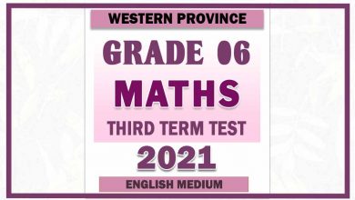 Photo of 2021 Grade 06 Maths Third Term Paper | English Medium – Western Province
