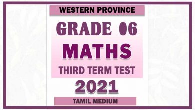 Photo of 2021 Grade 06 Maths Third Term Paper | Tamil Medium – Western Province